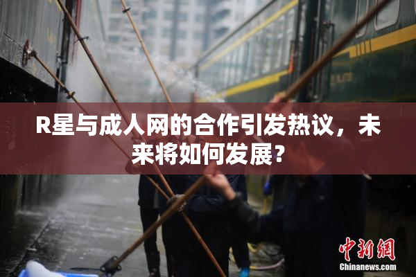 R星与成人网的合作引发热议，未来将如何发展？