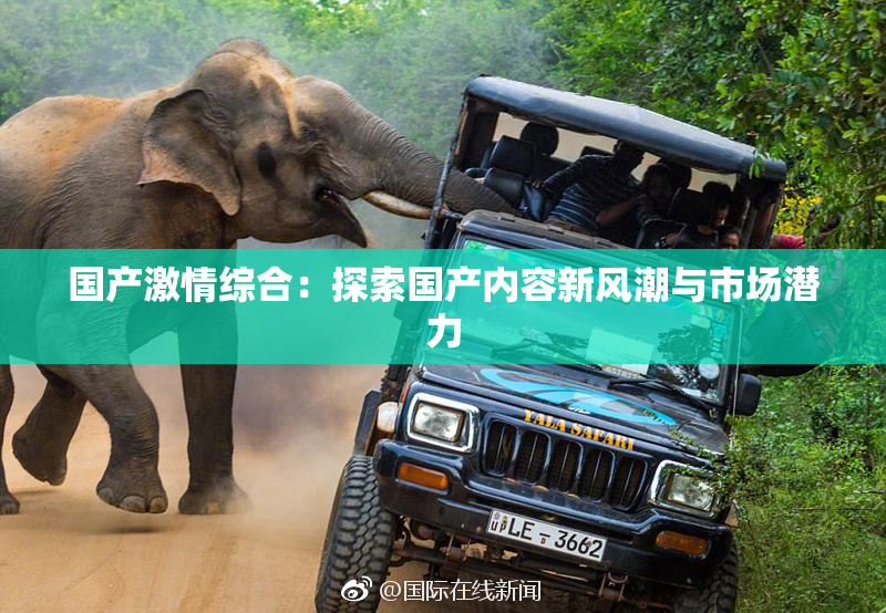 国产激情综合：探索国产内容新风潮与市场潜力