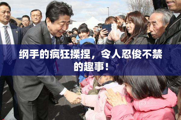 纲手的疯狂揉捏，令人忍俊不禁的趣事！