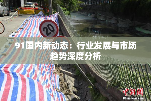 91国内新动态：行业发展与市场趋势深度分析