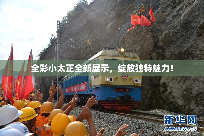 全彩小太正全新展示，绽放独特魅力！