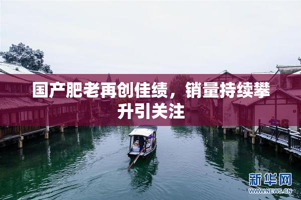 国产肥老再创佳绩，销量持续攀升引关注