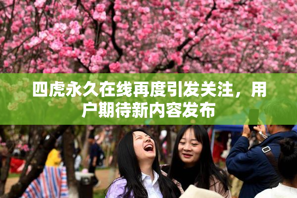 四虎永久在线再度引发关注，用户期待新内容发布