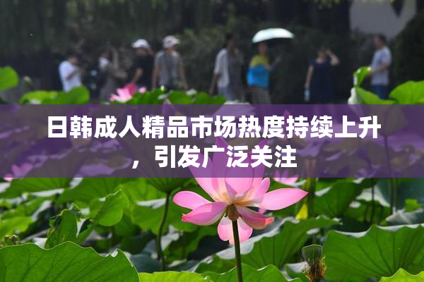 日韩成人精品市场热度持续上升，引发广泛关注