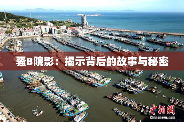 骚B院影：揭示背后的故事与秘密