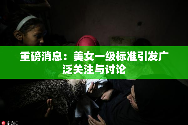 重磅消息：美女一级标准引发广泛关注与讨论