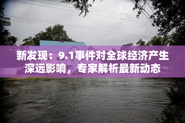 新发现：9.1事件对全球经济产生深远影响，专家解析最新动态