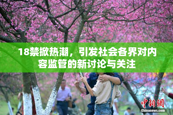 18禁掀热潮，引发社会各界对内容监管的新讨论与关注