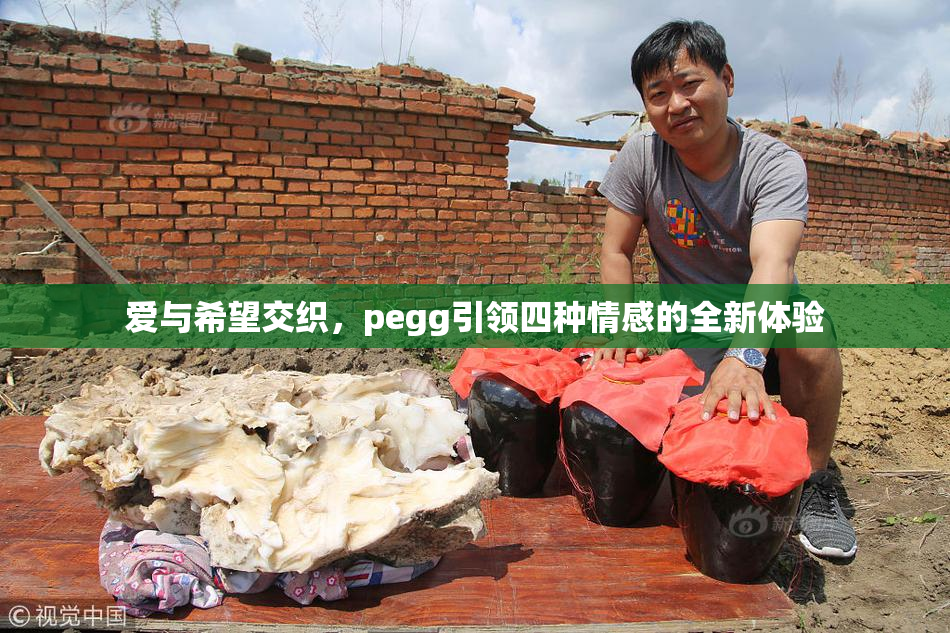 爱与希望交织，pegg引领四种情感的全新体验