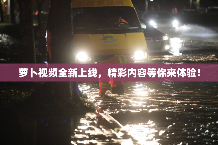 萝卜视频全新上线，精彩内容等你来体验！