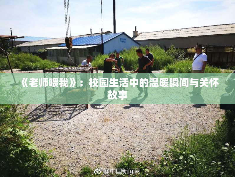 《老师喂我》：校园生活中的温暖瞬间与关怀故事