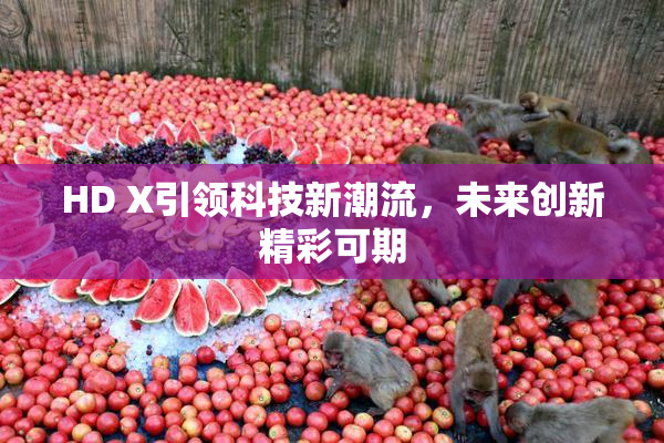 HD X引领科技新潮流，未来创新精彩可期