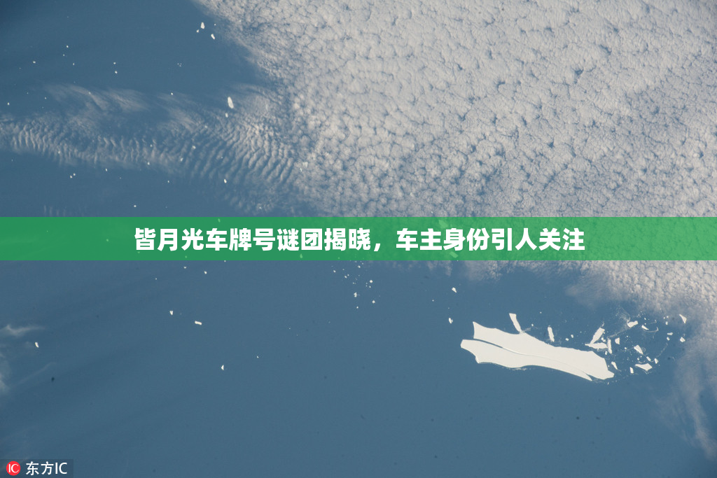 皆月光车牌号谜团揭晓，车主身份引人关注