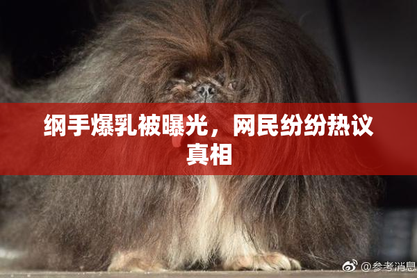 纲手爆乳被曝光，网民纷纷热议真相