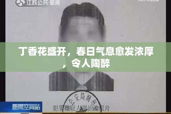 丁香花盛开，春日气息愈发浓厚，令人陶醉