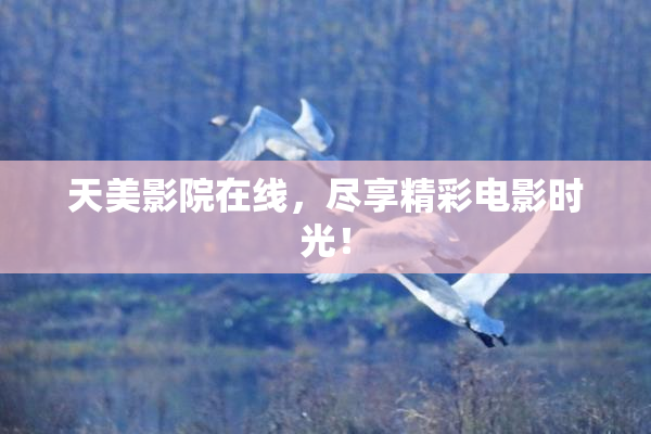 天美影院在线，尽享精彩电影时光！