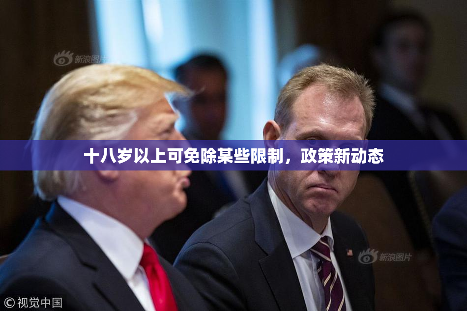 十八岁以上可免除某些限制，政策新动态