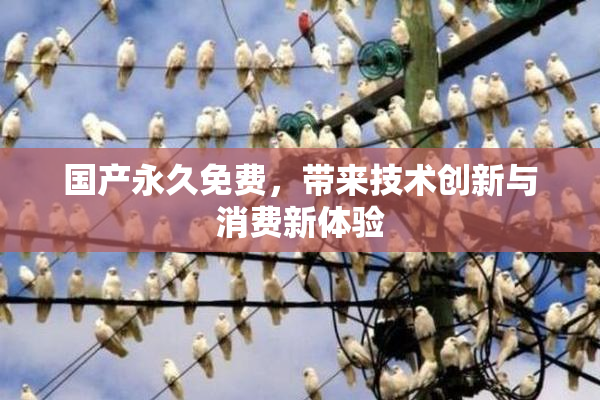 国产永久免费，带来技术创新与消费新体验