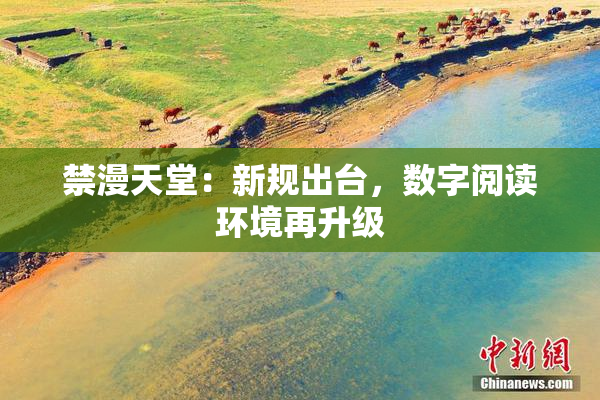 禁漫天堂：新规出台，数字阅读环境再升级