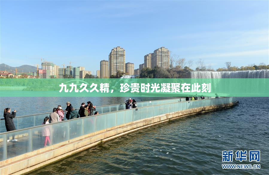 九九久久精，珍贵时光凝聚在此刻