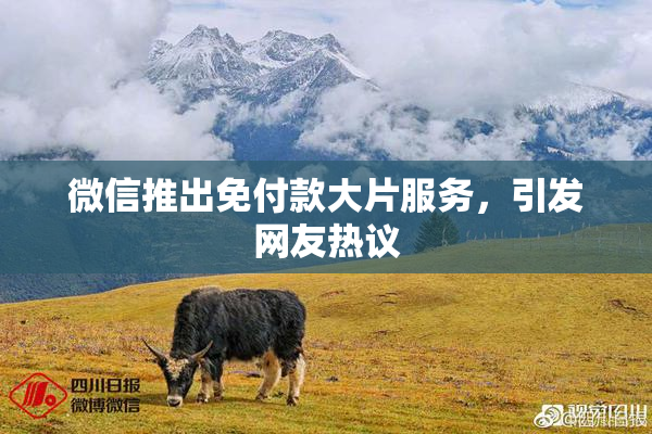 微信推出免付款大片服务，引发网友热议