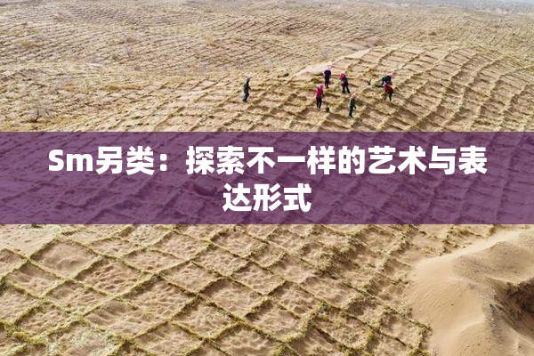 Sm另类：探索不一样的艺术与表达形式