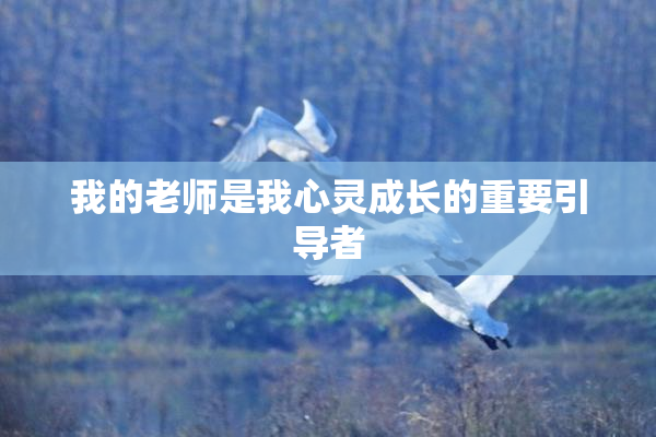我的老师是我心灵成长的重要引导者