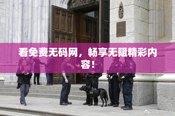 看免费无码网，畅享无阻精彩内容！