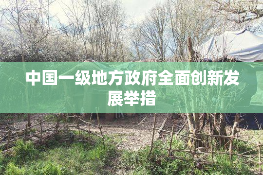 中国一级地方政府全面创新发展举措