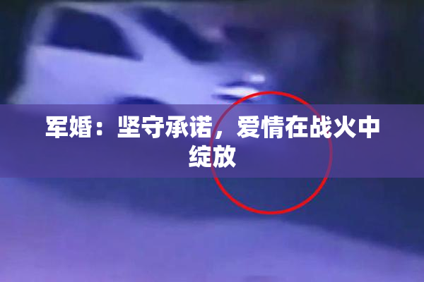 军婚：坚守承诺，爱情在战火中绽放