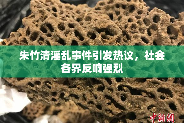 朱竹清淫乱事件引发热议，社会各界反响强烈