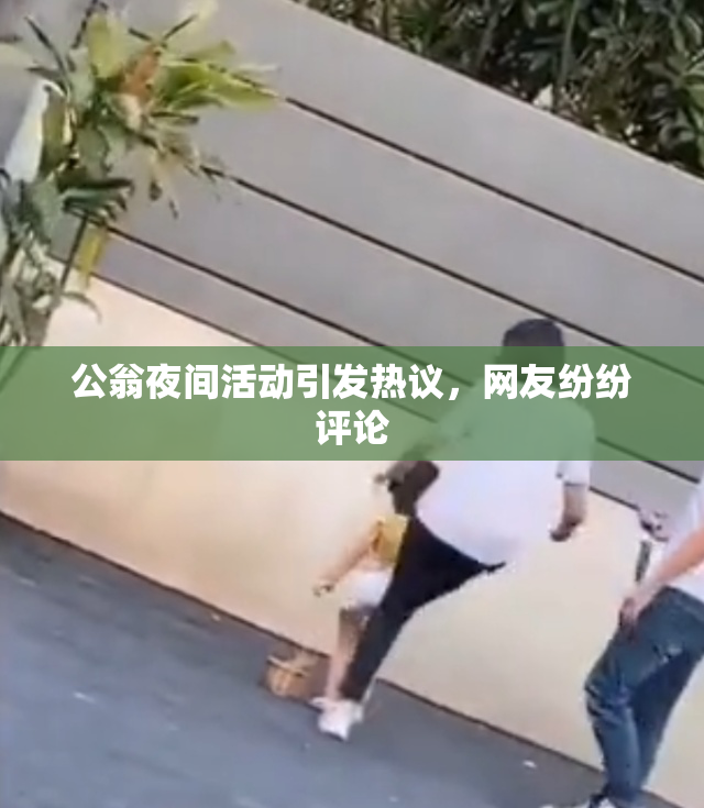 公翁夜间活动引发热议，网友纷纷评论