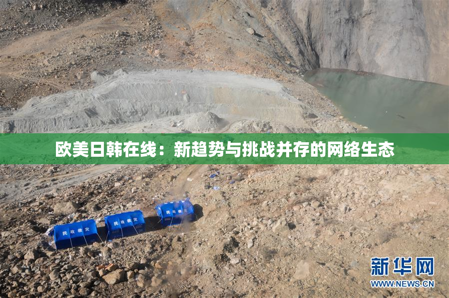 欧美日韩在线：新趋势与挑战并存的网络生态