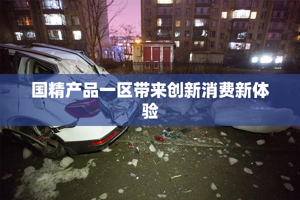 国精产品一区带来创新消费新体验