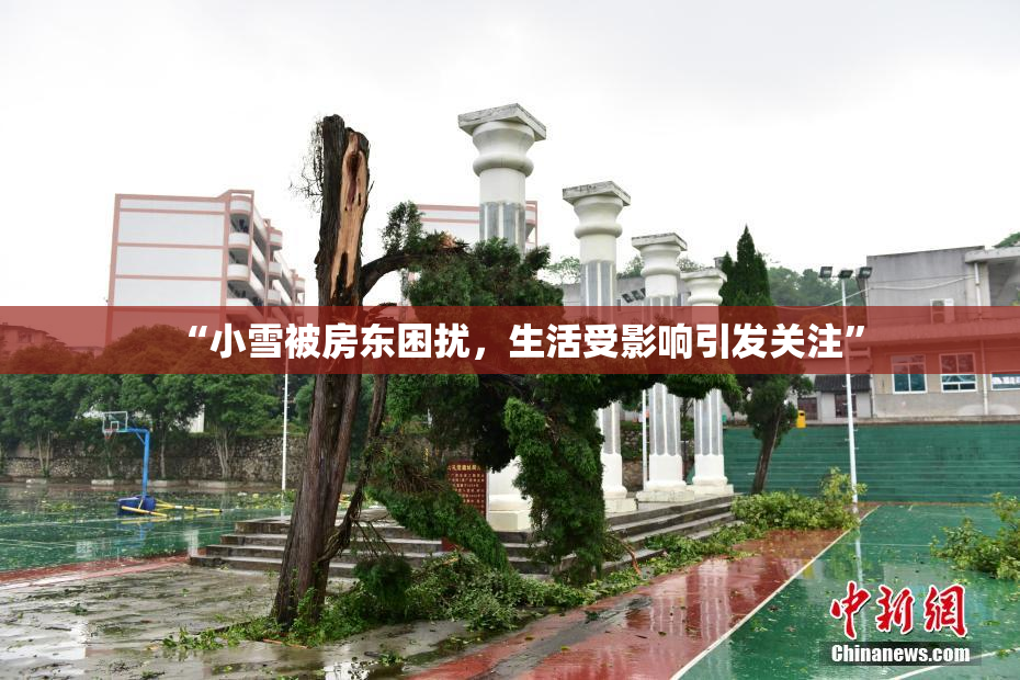 “小雪被房东困扰，生活受影响引发关注”