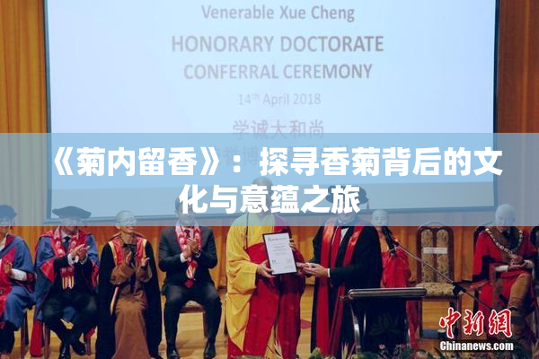 《菊内留香》：探寻香菊背后的文化与意蕴之旅
