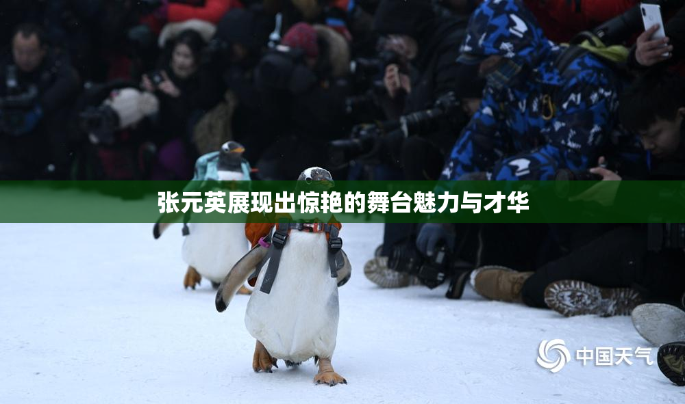张元英展现出惊艳的舞台魅力与才华
