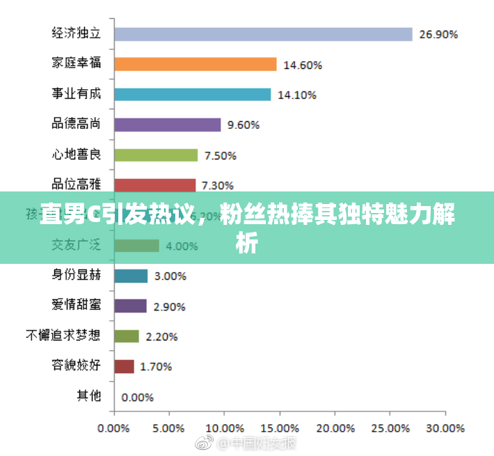 直男C引发热议，粉丝热捧其独特魅力解析