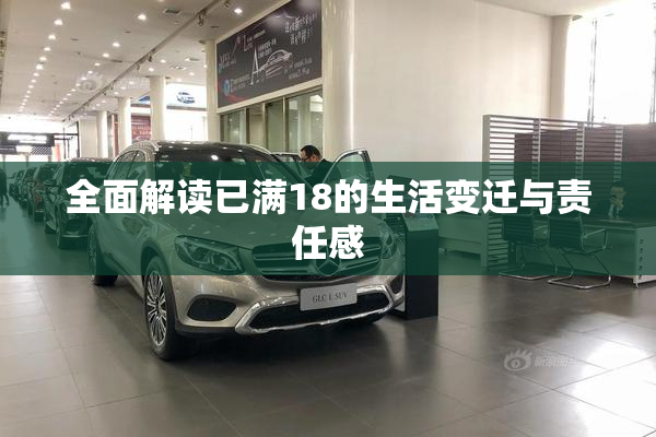 全面解读已满18的生活变迁与责任感
