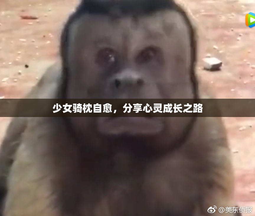 少女骑枕自愈，分享心灵成长之路