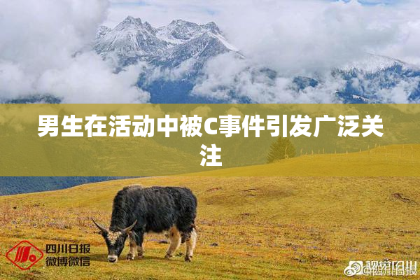 男生在活动中被C事件引发广泛关注