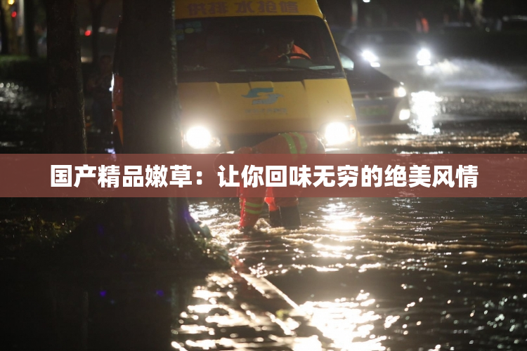 国产精品嫩草：让你回味无穷的绝美风情