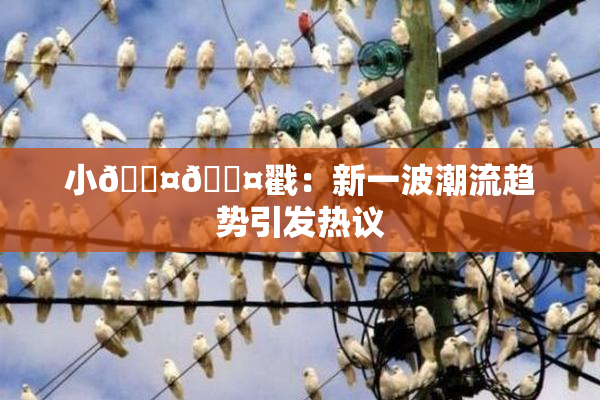 小🐤🐤戳：新一波潮流趋势引发热议