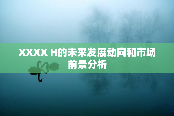 XXXX H的未来发展动向和市场前景分析