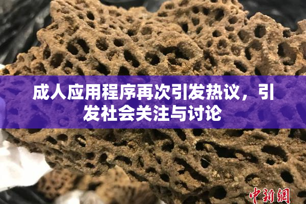 成人应用程序再次引发热议，引发社会关注与讨论
