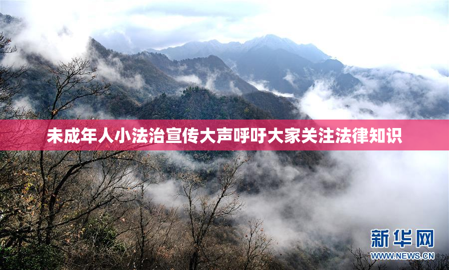 未成年人小法治宣传大声呼吁大家关注法律知识