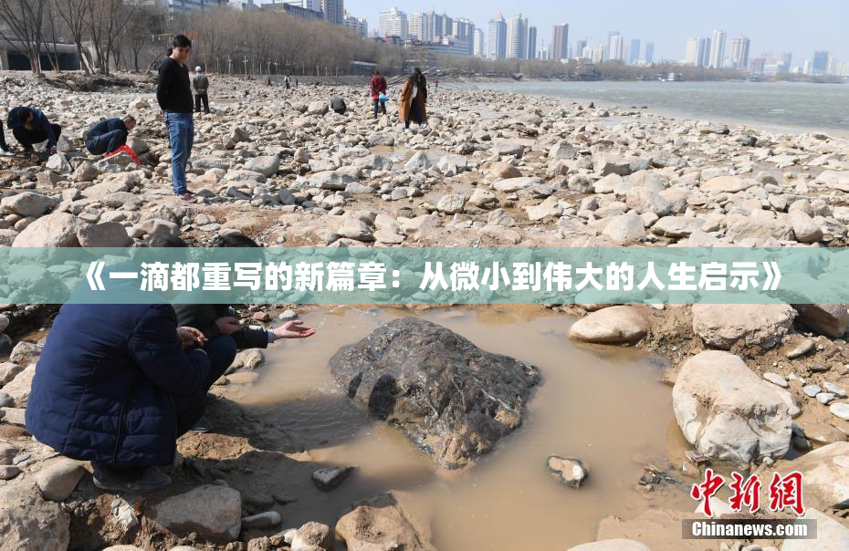 《一滴都重写的新篇章：从微小到伟大的人生启示》