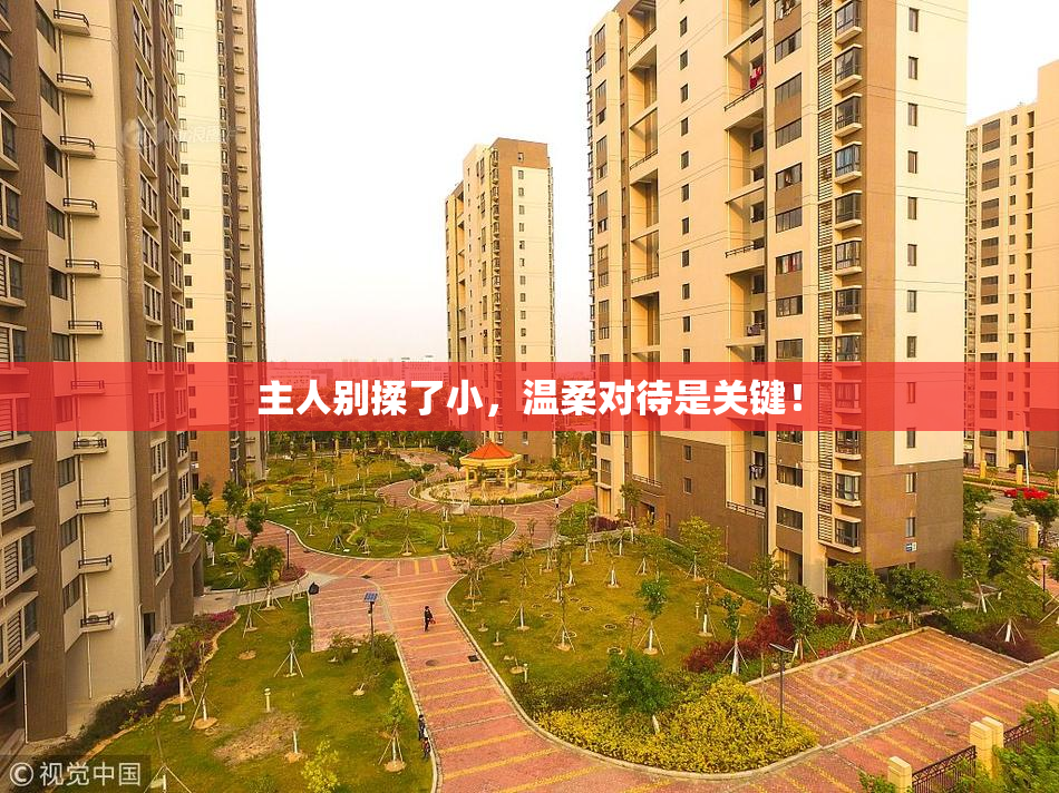 主人别揉了小，温柔对待是关键！