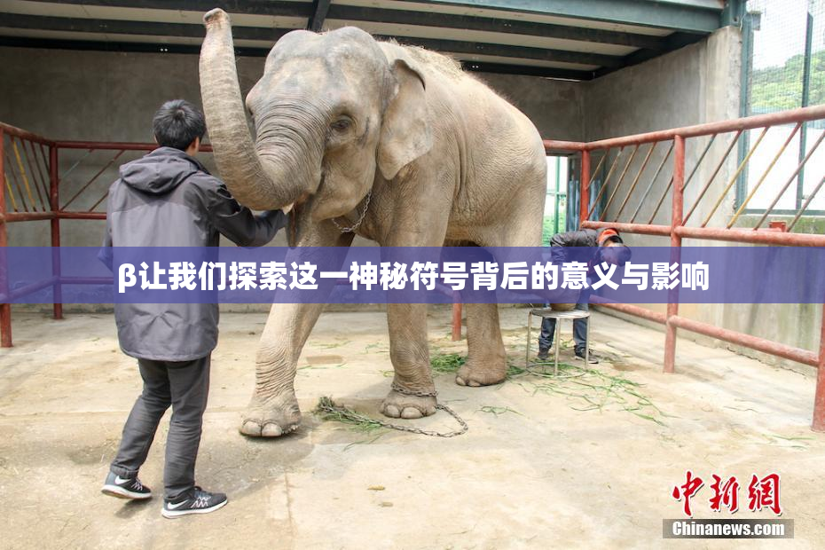 β让我们探索这一神秘符号背后的意义与影响