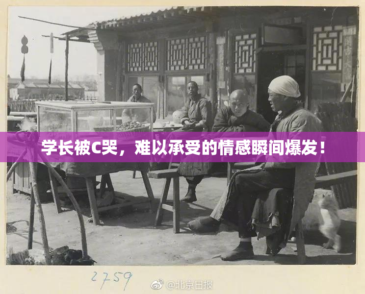 学长被C哭，难以承受的情感瞬间爆发！